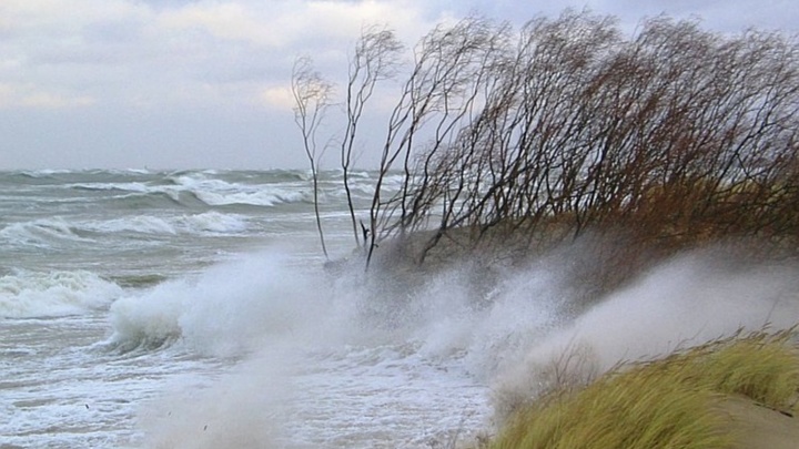 На Кубани объявили штормовое предупреждение из-за ветра