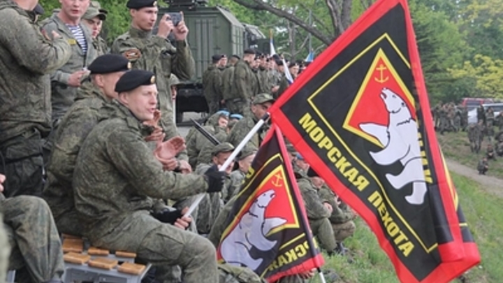 Отряд морпехов ТОФ под Новодонецким уничтожил 103 боевика ВСУ за три часа