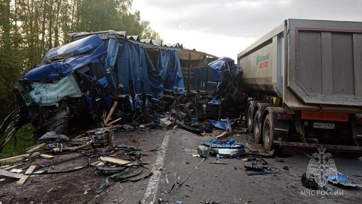 У фуры лопнуло колесо: в ДТП на трассе М7 в Нижегородской области погибли четыре человека