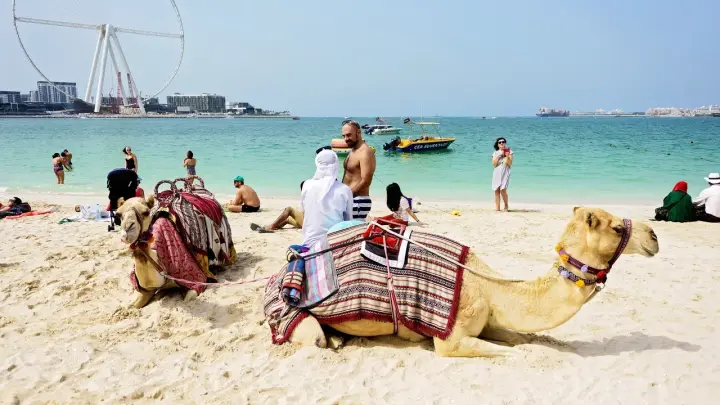 Сейчас там ад, и речь не о погоде: почему не стоит ехать в Хугарду в мае