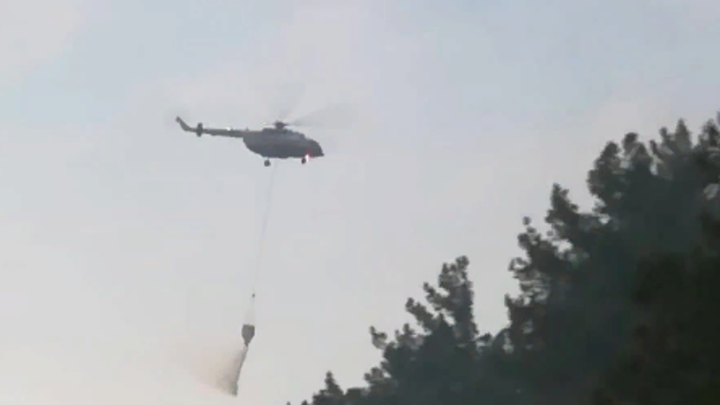 Под Геленджиком потушили лесной пожар на площади 3,7 га