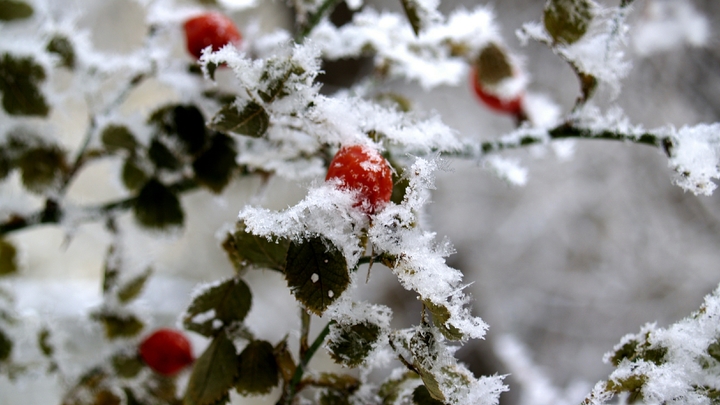 На Свердловскую область надвигаются морозы