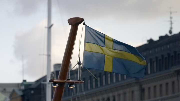 Уж не в Виннице ли? СМИ усомнились в шведской версии гибели лётчика в Донбассе