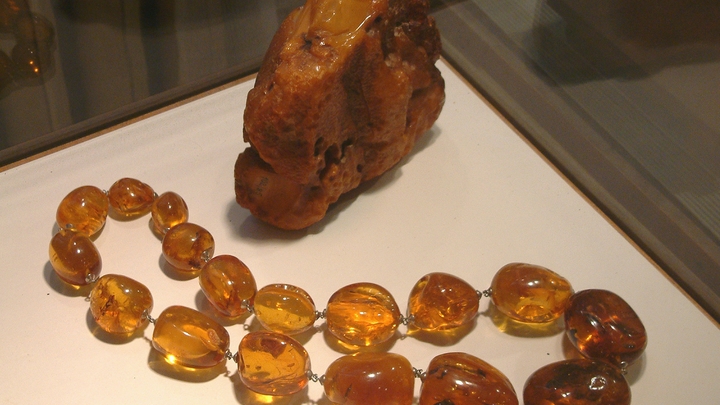 Янтарная комната всё это время была в Калининграде? Историк напал на след восьмого чуда света