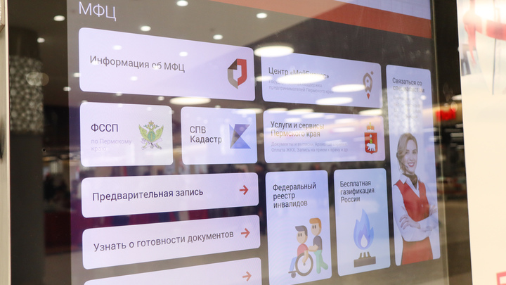 Мобильный избиратель в МФЦ Петербурга: что за услуга