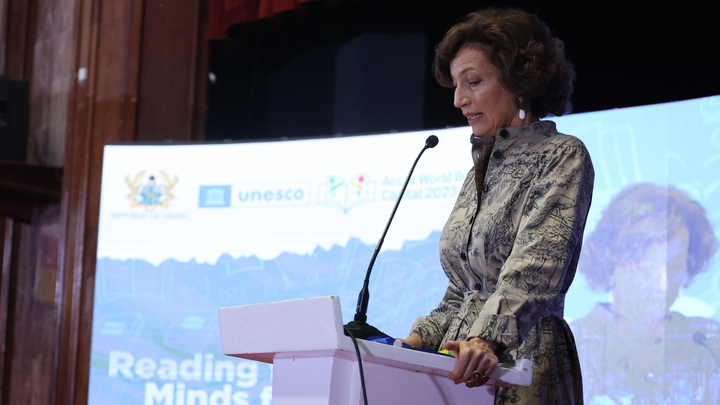 Гендиректор ЮНЕСКО требует расследовать гибель военкора Ростислава Журавлёва