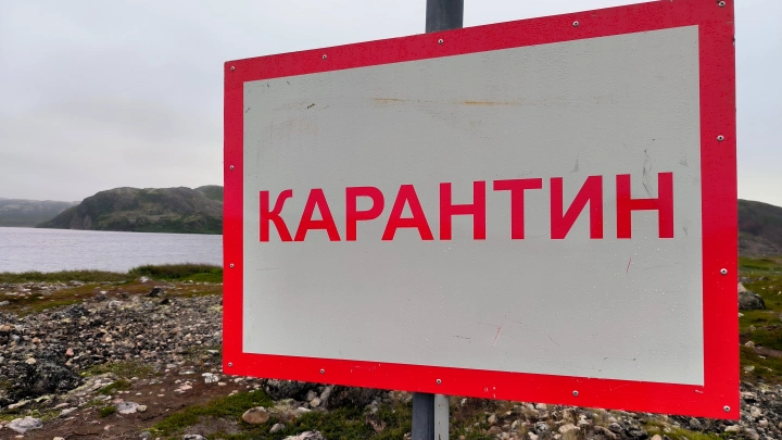 Сибирская язва угрожает деревням и поселкам Карелии