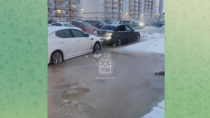 В Воронеже десятки машин вмёрзли в лёд из-за коммунальной аварии