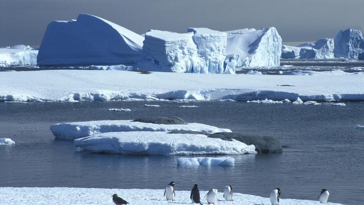Ледник Судного дня грозит катастрофой мегаполисам: Разрушение уже идёт