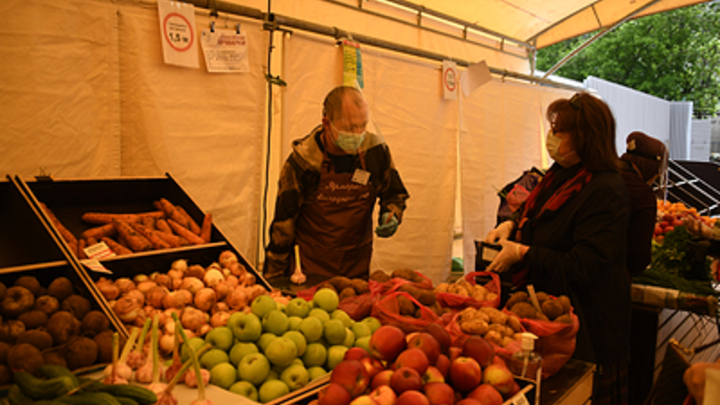 Россию ждёт кризис перепроизводства? Аналитик предсказал падение цен на продукты