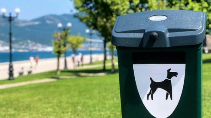 На городской набережной Новороссийска появились первые догбоксы