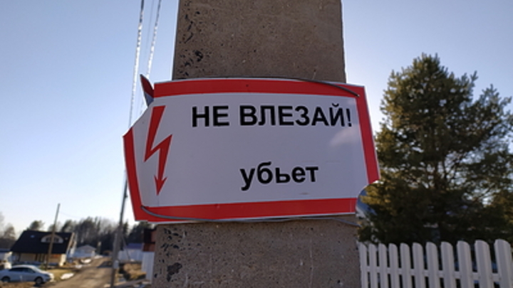 Пора вырубить: Пронько возмутился поставками электричества из России в Эстонию