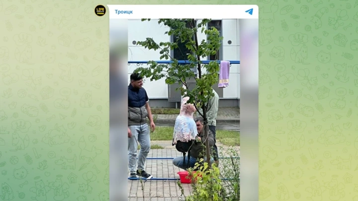 В Новой Москве мигранты начали разделывать барана на детской площадке