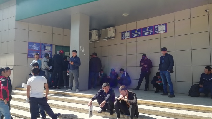 Более тысячи мигрантов ежемесячно получают разрешение на работу в Забайкалье