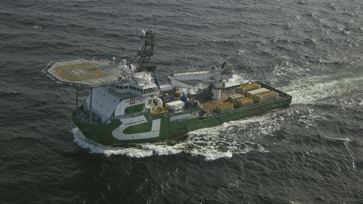 Взрыв Северных потоков. Масштаб катастрофы оценили экологи