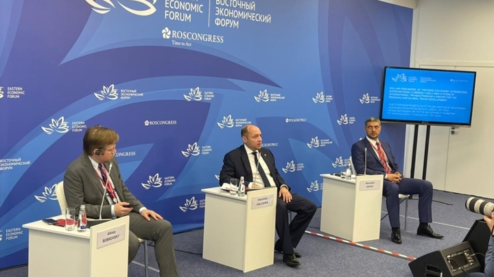 Осипов: действующие на территории Забайкальского края проекты приостанавливаются