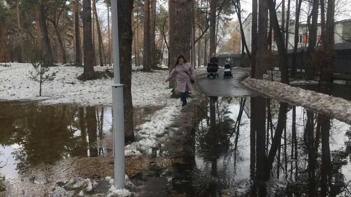 Зеленую Рощу размыло: реконструированный парк в Екатеринбурге превратился в болото