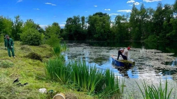 По программе 100 прудов и озер в Подмосковье очистили 11 водных объектов