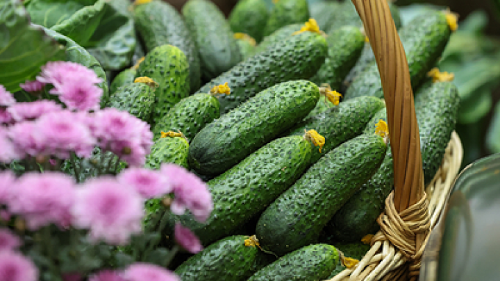 Травмоопасный день: Приметы и запреты на 5 июня, день Левона Огуречника