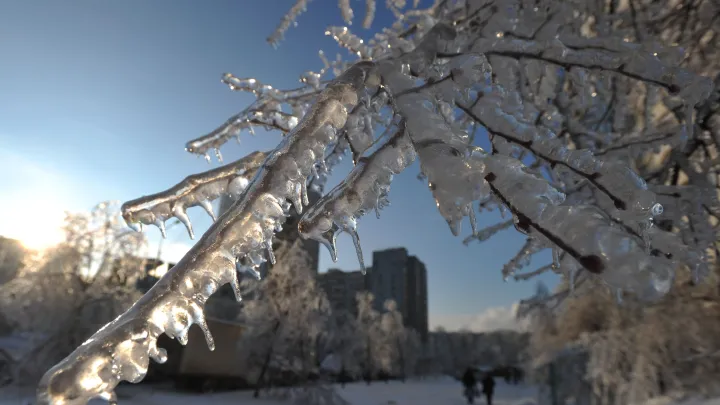 Синоптик предупредил о распространении аномальных холодов на европейскую часть России
