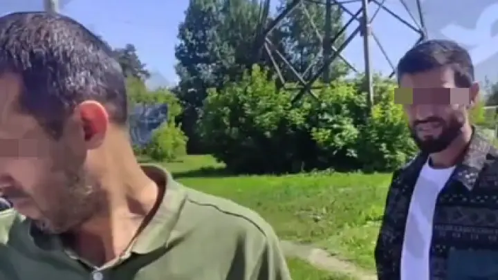 Расценили даму за рулём как удачу: мигранты устроили ДТП в Екатеринбурге