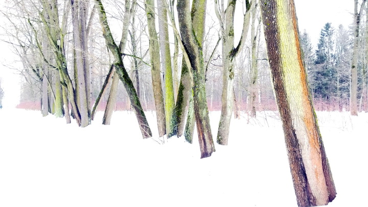 В Сочи объявлено штормовое предупреждение из-за налипания снега