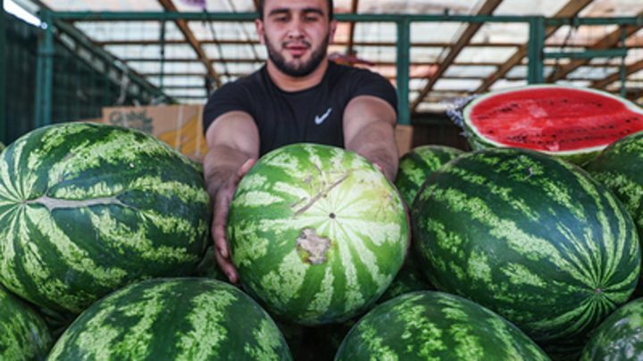 Работает безотказно. Шесть правил выбора самого сладкого арбуза