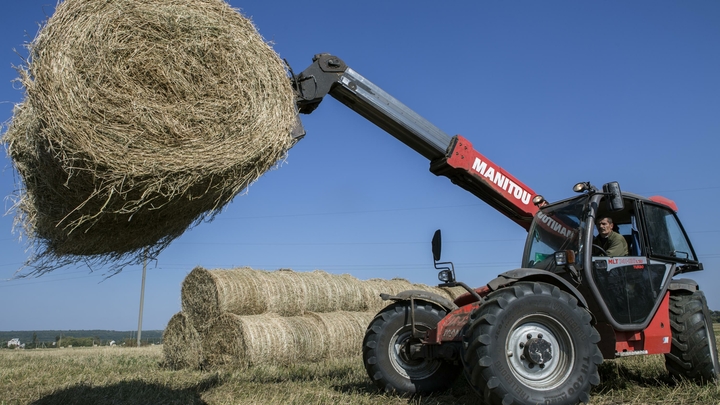 В Подмосковье стартовала заготовка кормов для скота