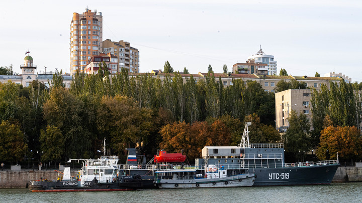 Новости Ростова-на-Дону 29 августа: нашествие комаров, карантин в монастыре и  переезд медведей
