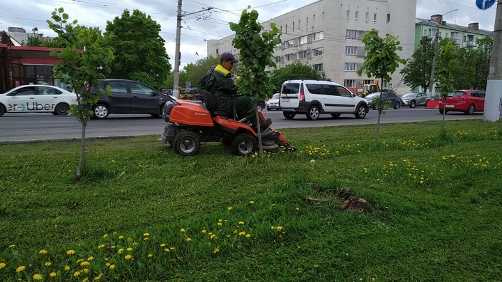 Во сколько обходится Владимиру летний покос травы
