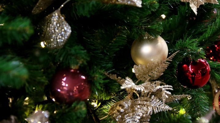 Власти заявили, что замена новогодней ёлки с трещиной в Сормове не потребует дополнительных расходов