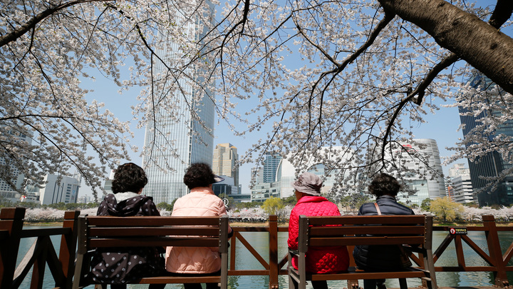 В Южной Корее заговорили о массовом увольнении с заводов граждан Казахстана