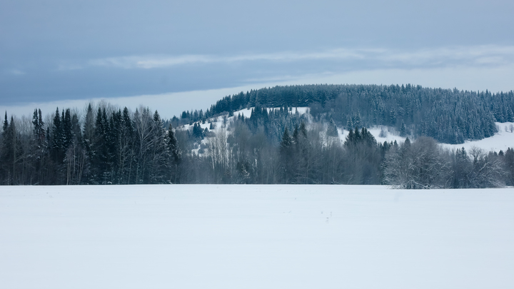 Царь Канады подарил Сибирь Америке: Киевлянин дал урок истории русскому