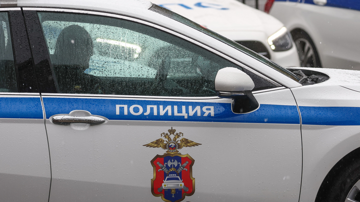 Начальник МЧС Курортного района Петербурга арестован за покровительство пиццерии
