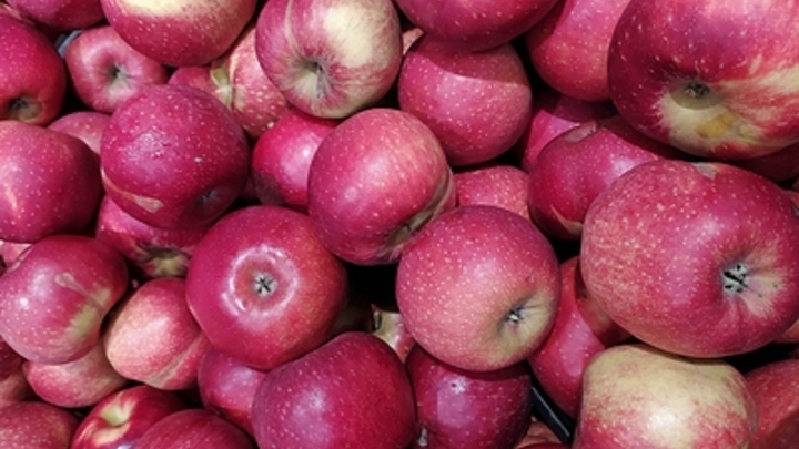 Хранится годами и становится лишь вкуснее: Раскрыт забытый русский рецепт из яблок