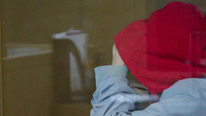 Глава СКР проверит жалобы о нападении детей мигрантов на жителей Новосибирска