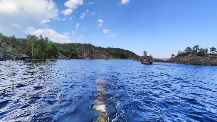 У берегов Коста‑Рики поймали уникальную золотую акулу‑альбиноса