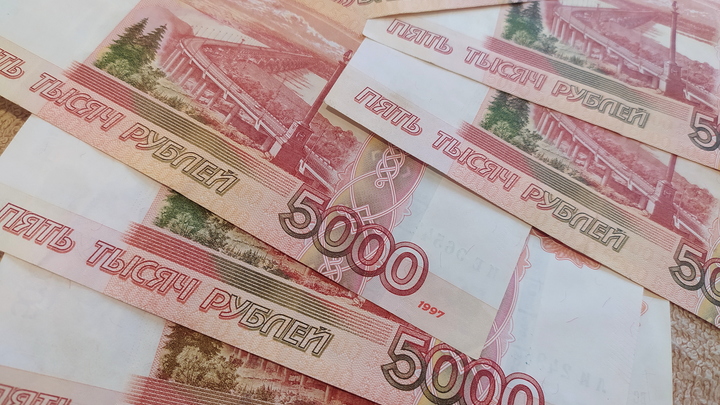 Лжесотрудники ФСБ выманили у оппозиционерки сотню тысяч рублей