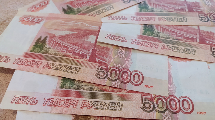 МРОТ в России вырастет в январе 2024 году на 18,5 процентов