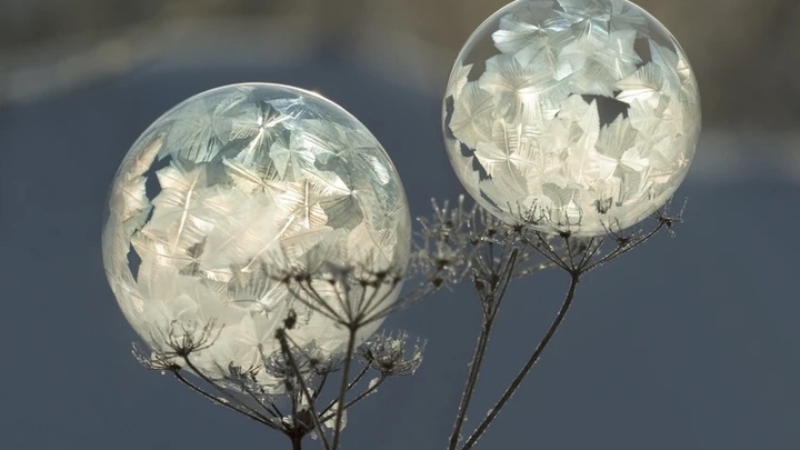 Житель Новосибирска делает красивые снимки мыльных пузырей на морозе