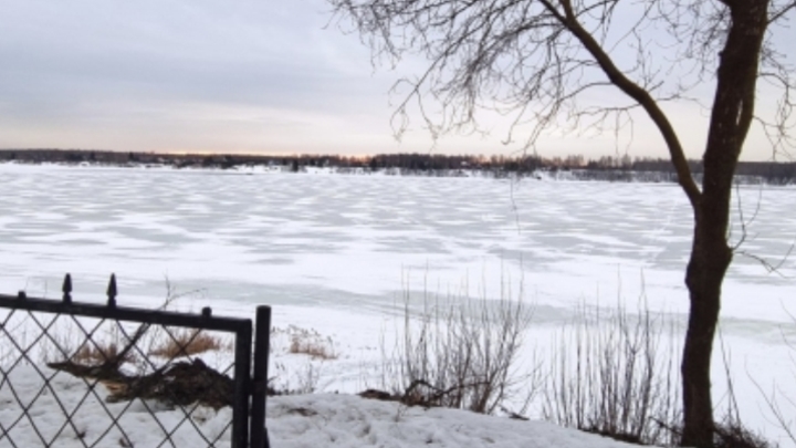 Гибель утонувшего соснователя группы Cream Soda Свиргунова подтвердили в Ярославской области