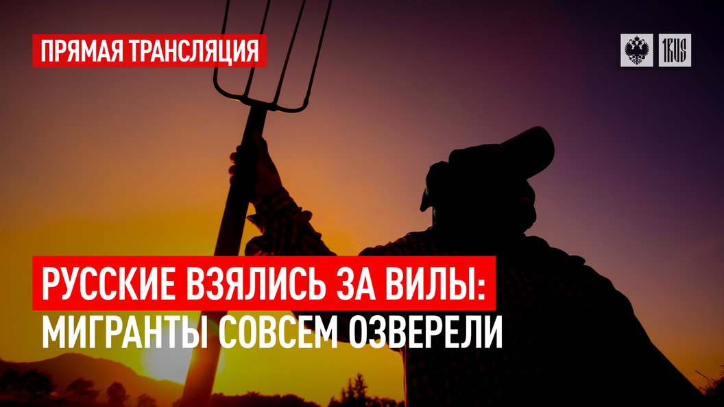Русские взялись за вилы. Мигранты совсем озверели
