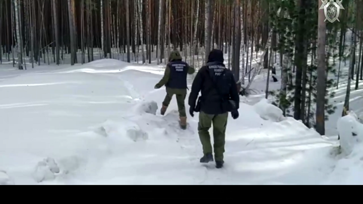 В лесу под Иркутском нашли останки пропавшей пенсионерки из Красноярска
