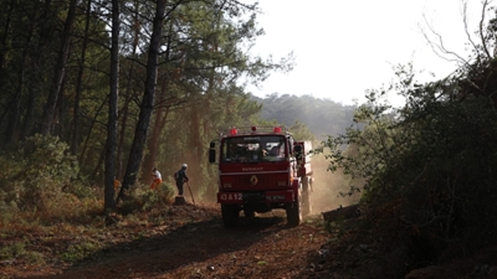 В Турции лесные пожары вплотную подошли к отелям, где традиционно отдыхают русские
