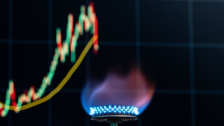 Германия по-новому запасает газ: Промышленных гигантов заставят экономить