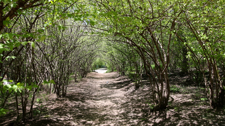 В Краснодаре в 2023 году появились семь новых скверов