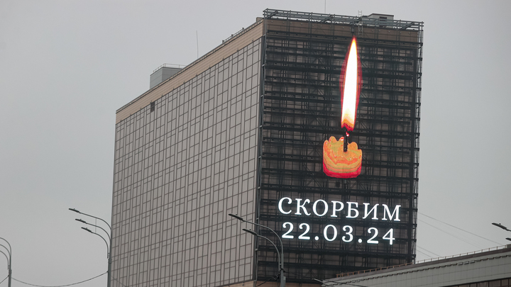 Песню «Жить» об авиакатастрофе над Синаем вновь опубликовали после теракта в «Крокус Сити Холле»