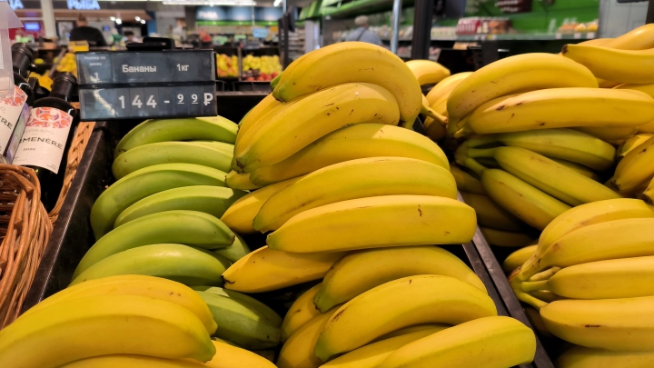 Дороже импорта: в Сочи в теплицах будут выращивать южноамериканские бананы