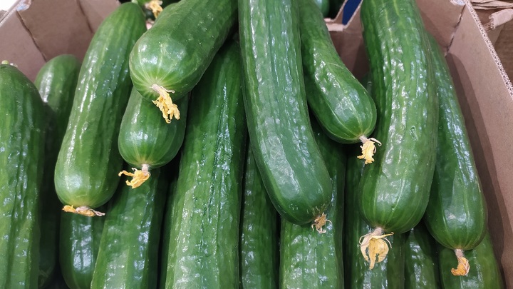 Британцам рекомендуют перейти на кормовые: Уже сейчас пол-огурца - в одни руки