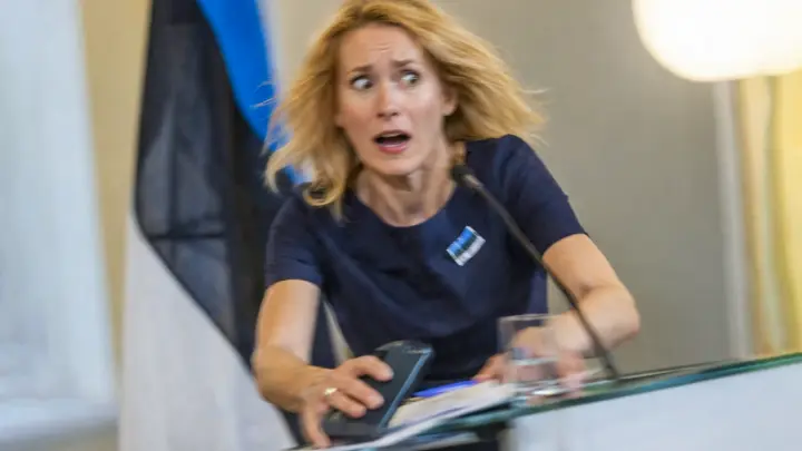 Доболтался: Каллас в истерике от речи Зеленского. Президенту напророчили месть от Европы